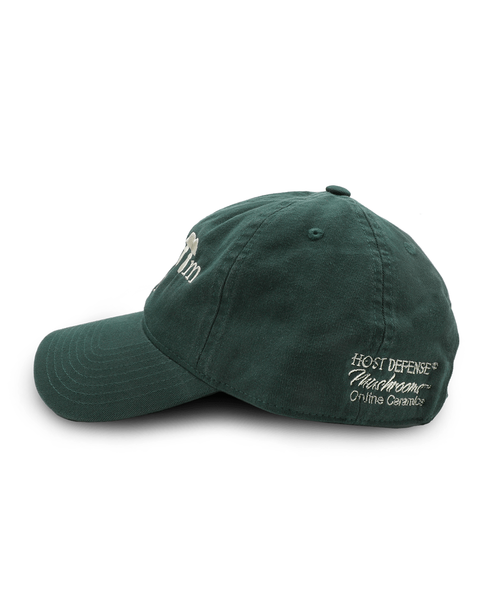 Mushroom Cap - Dark Green Hat