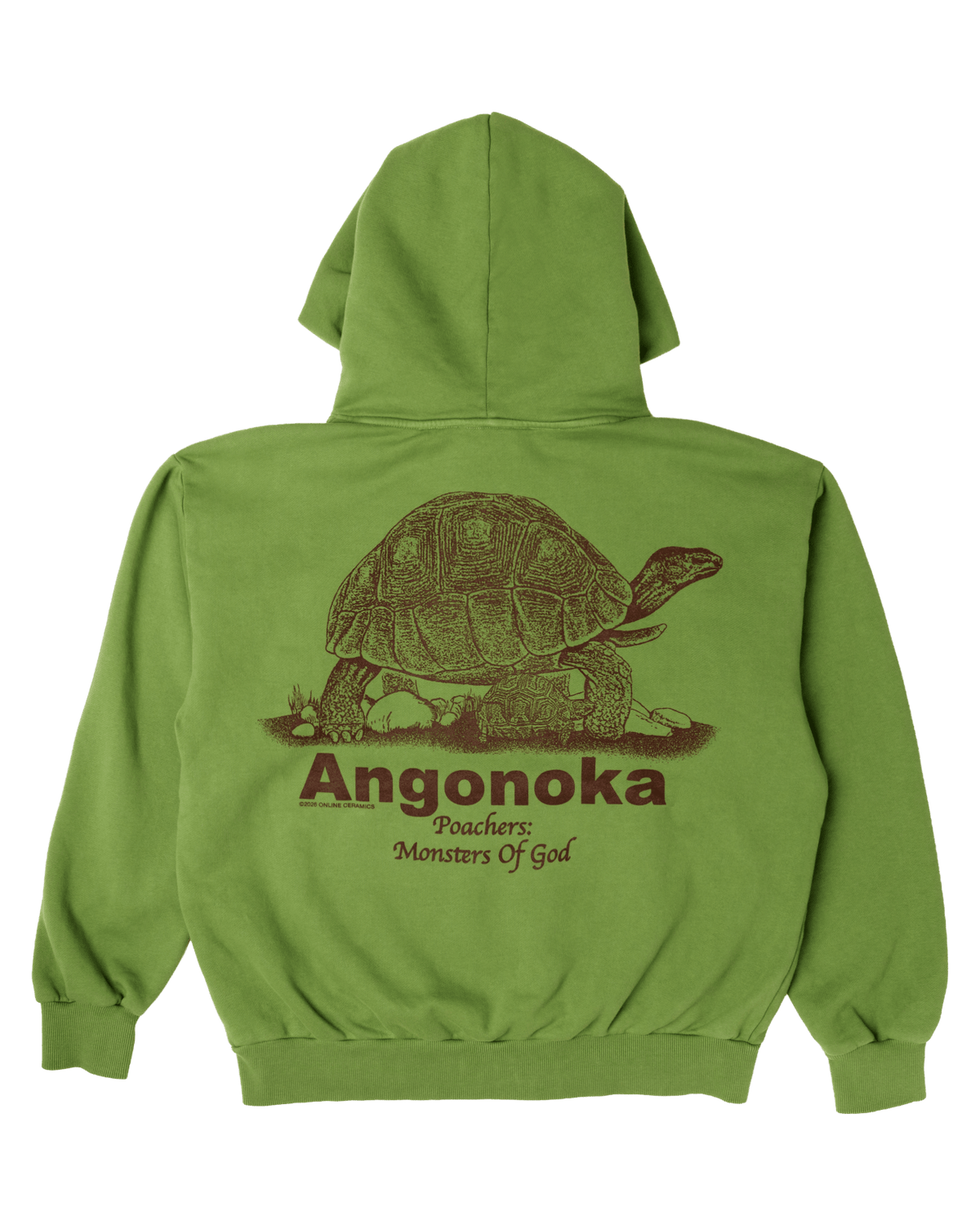 Protect the Ploughshare Tortoise - Green Hoodie