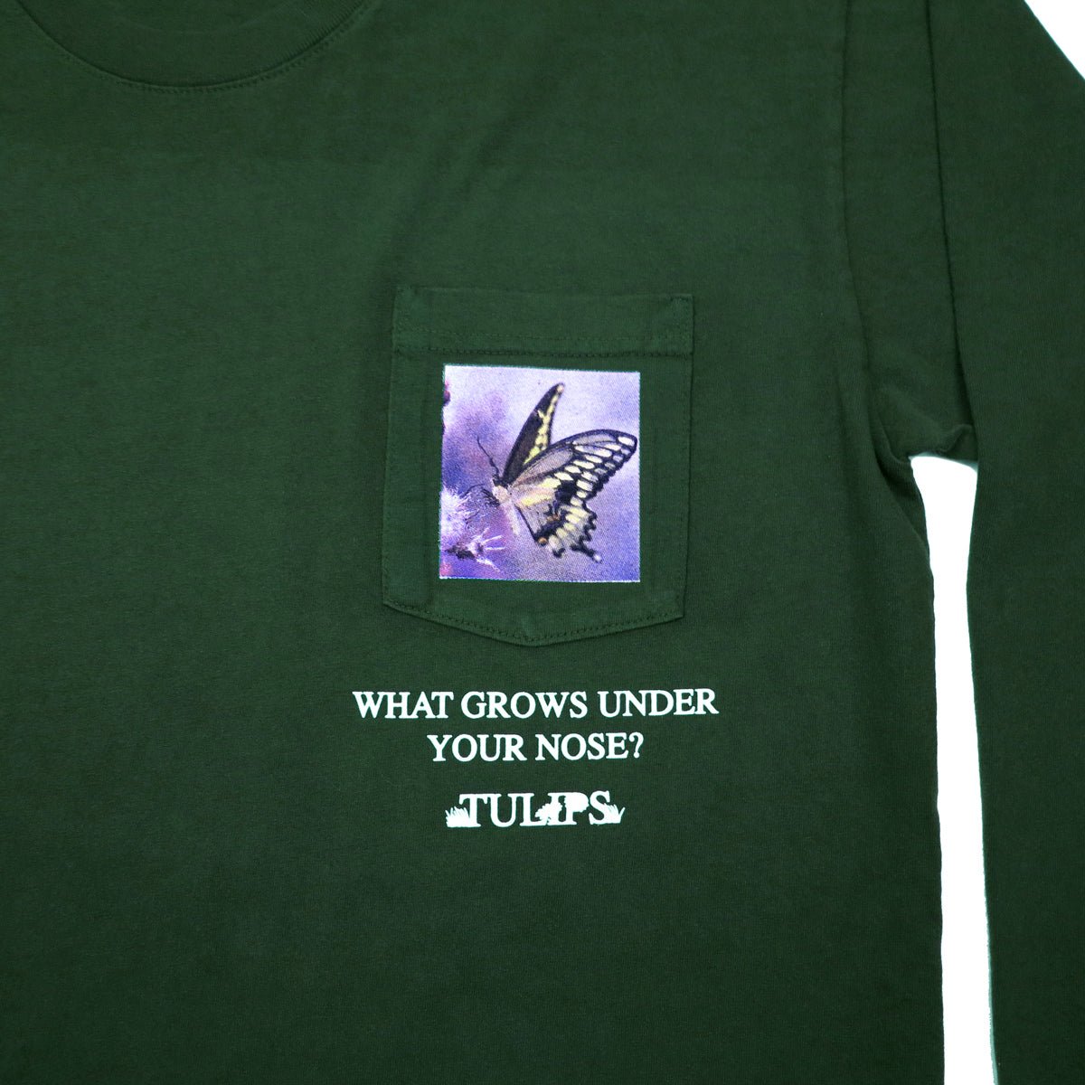 What Grows Under Your Nose? (special green)