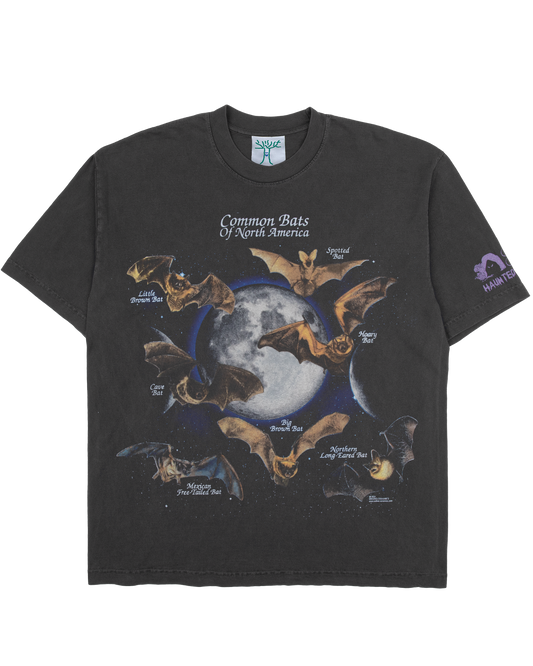 Common Bats - Off-Black Tee