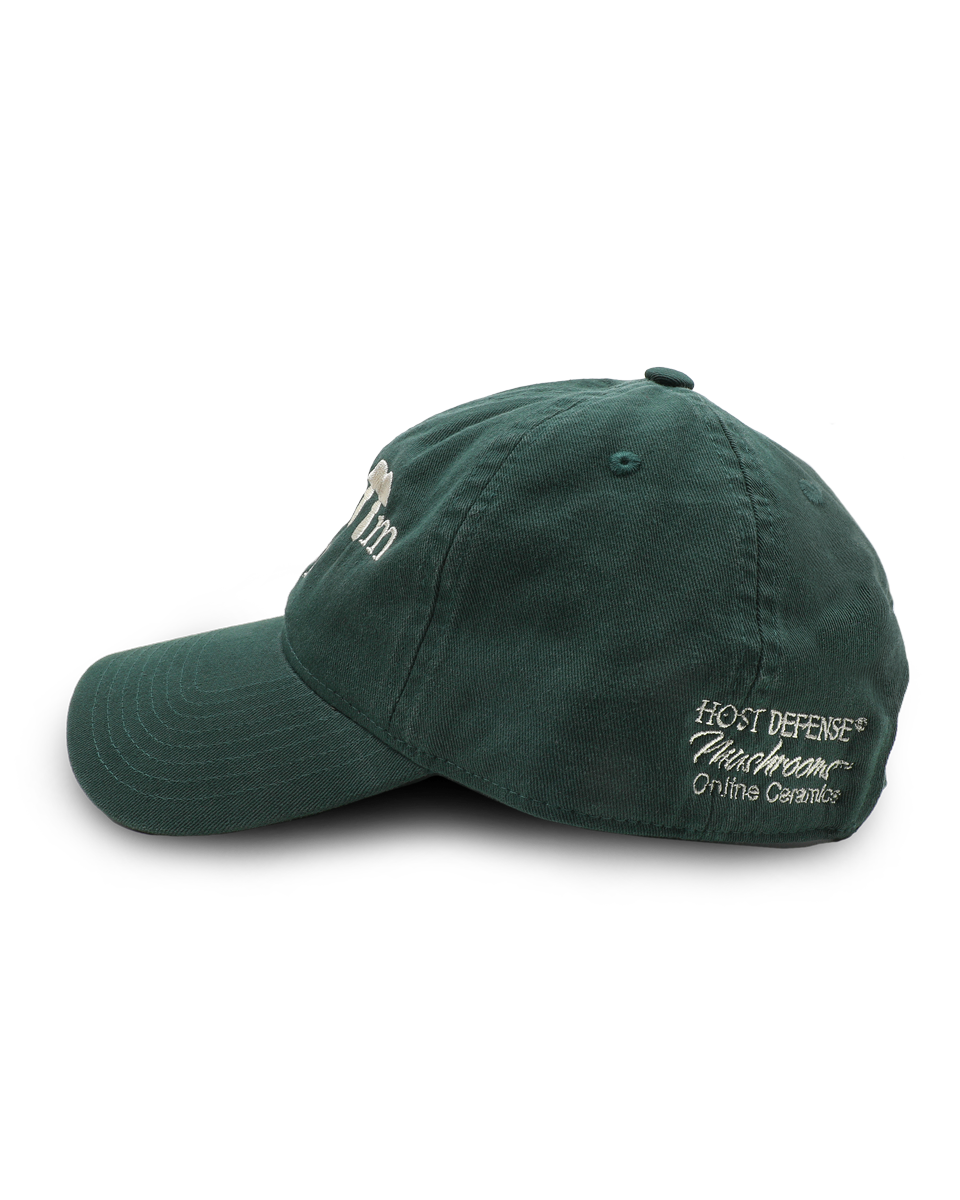 Mushroom Cap - Dark Green Hat