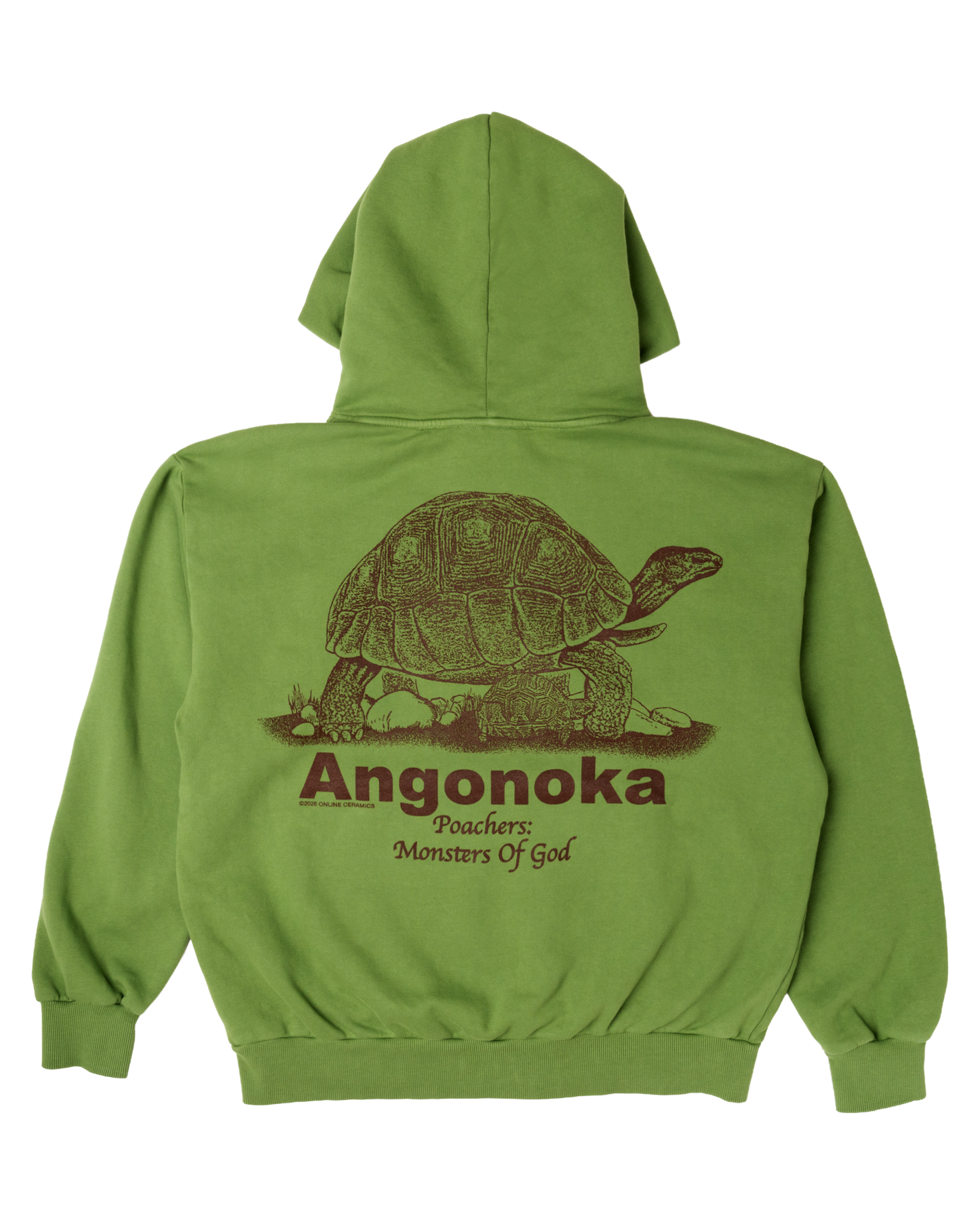 Protect the Ploughshare Tortoise - Green Hoodie
