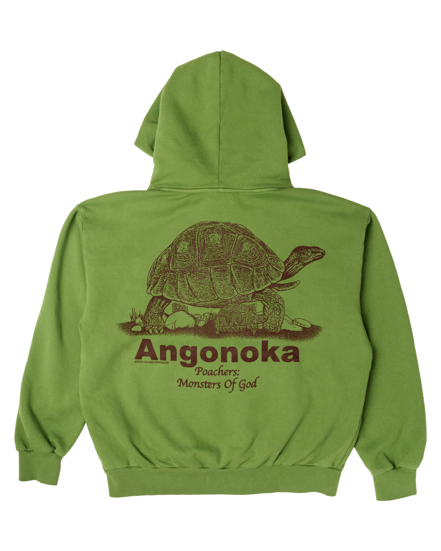 Protect the Ploughshare Tortoise - Green Hoodie