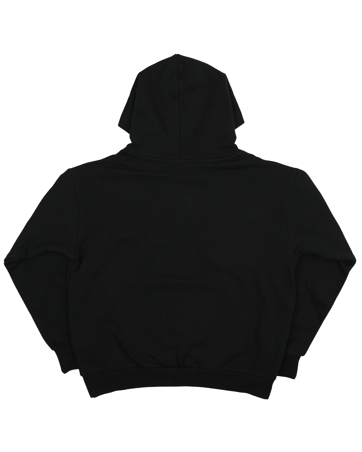 Protecting Global Access - Black Hoodie