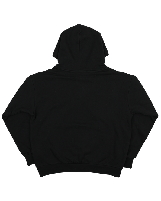 Protecting Global Access - Black Hoodie