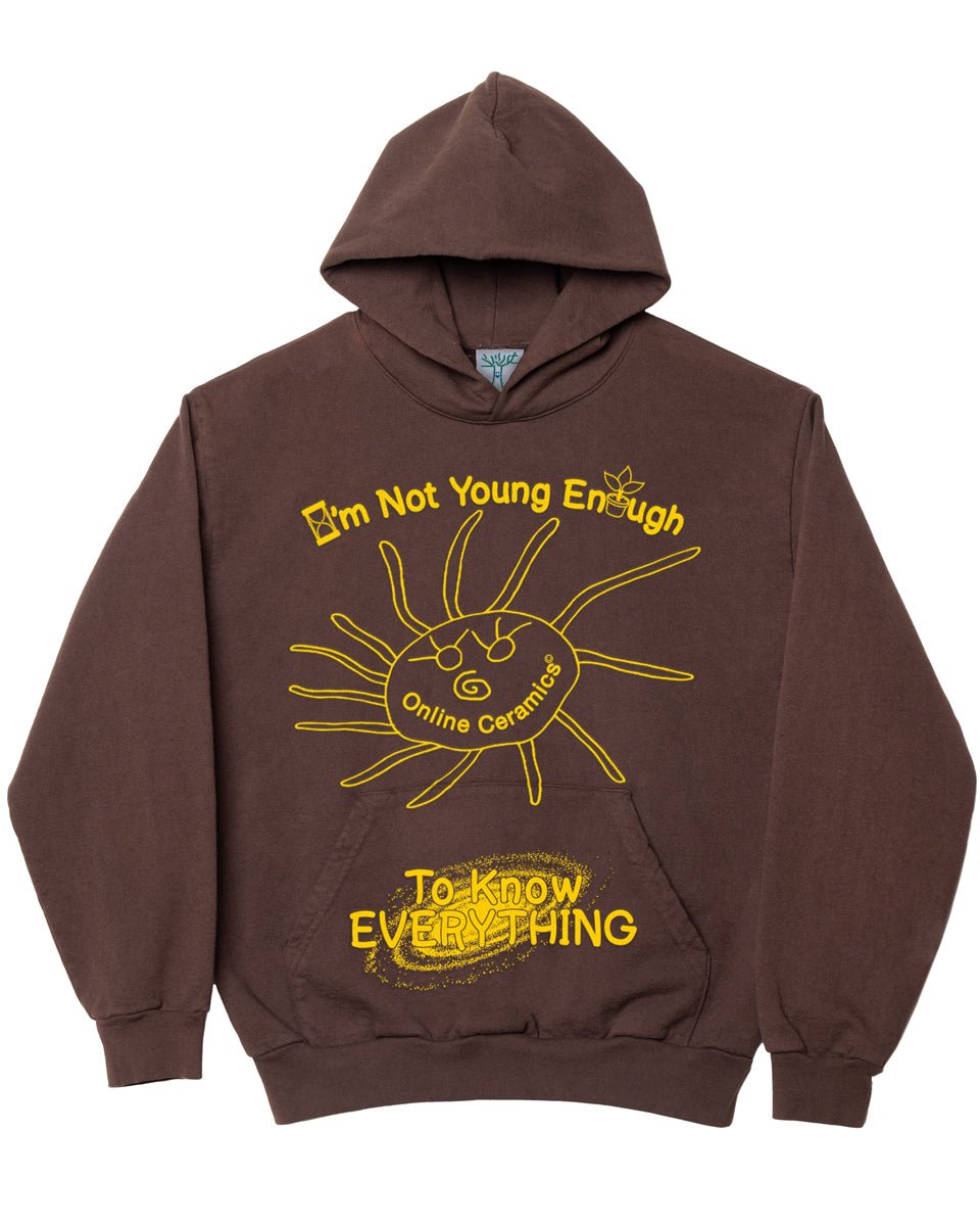 Wisdom Sun - Chocolate Hoodie (12oz Fleece)