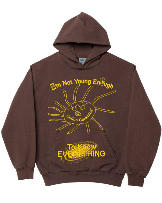 Wisdom Sun - Chocolate Hoodie (12oz Fleece)