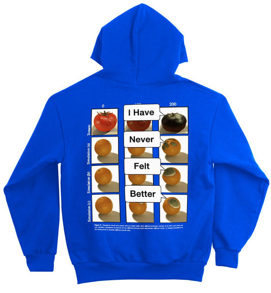I Have Never Felt Better (14oz Heavy Fleece)