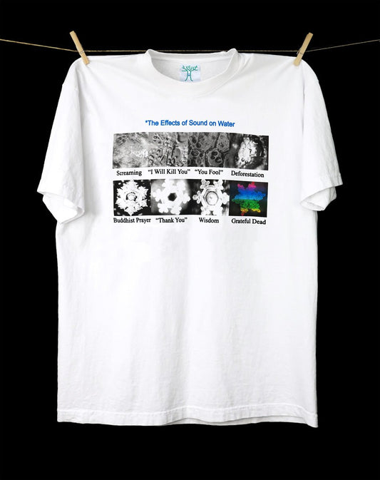 Dead Water (Emoto Effect)